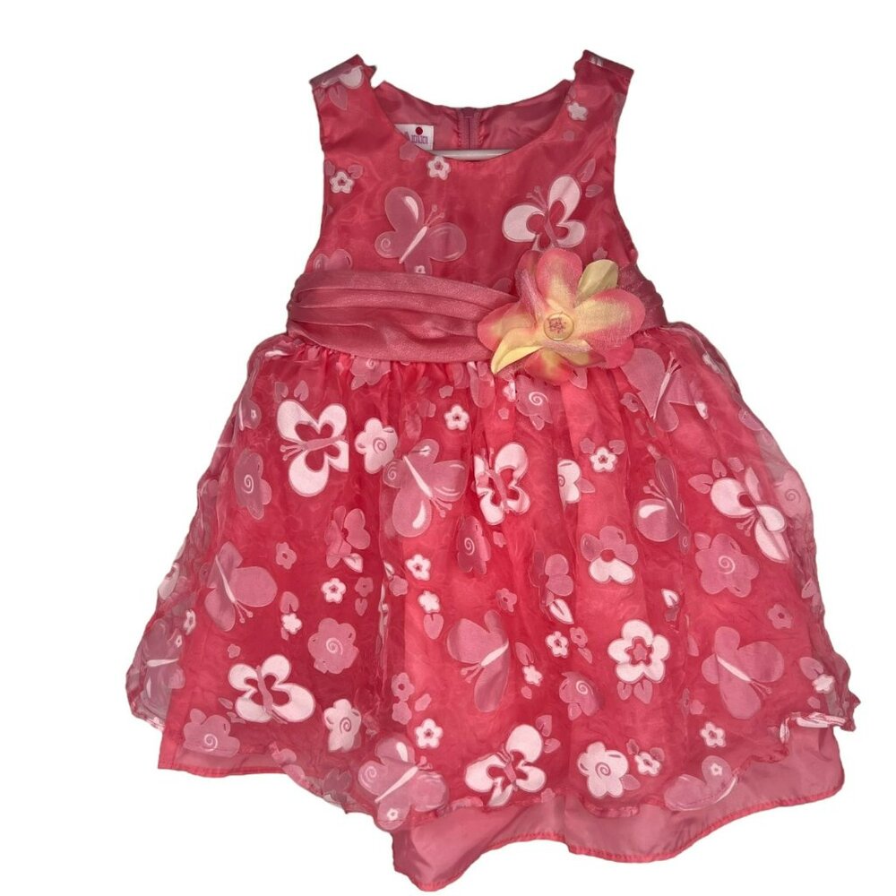 Baby Girl Ashley Ann Pink Floral and Butterflies Dress 18 mo